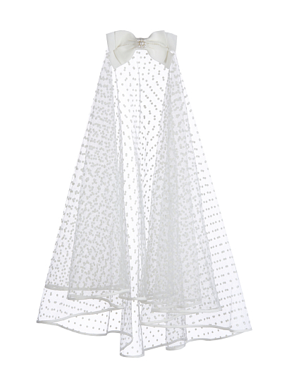 Вуаль Arc Le Chic